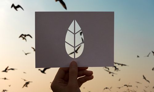 50 ANNI DI PROVE SU IMPATTO AMBIENTALE E RESE DEL BIOLOGICO