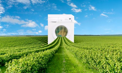 AGRICOLTURA RIGENERATIVA E RISCHIO GREENWASHING