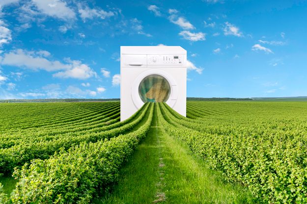 AGRICOLTURA RIGENERATIVA E RISCHIO GREENWASHING