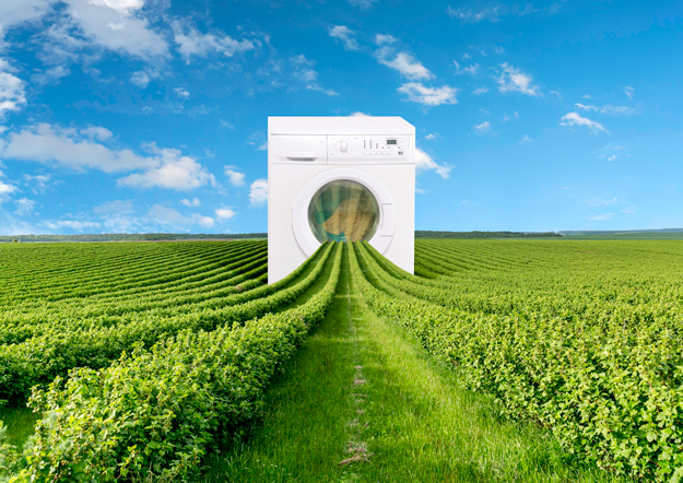 AGRICOLTURA RIGENERATIVA E RISCHIO GREENWASHING