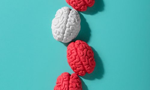 CERVELLO PIÙ IN SALUTE CON GLI ALIMENTI BIOLOGICI