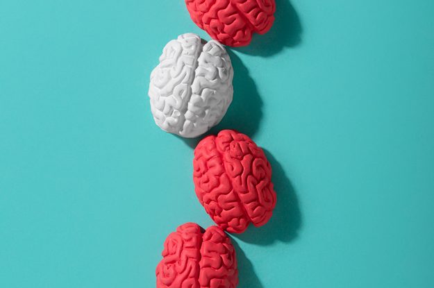 CERVELLO PIÙ IN SALUTE CON GLI ALIMENTI BIOLOGICI