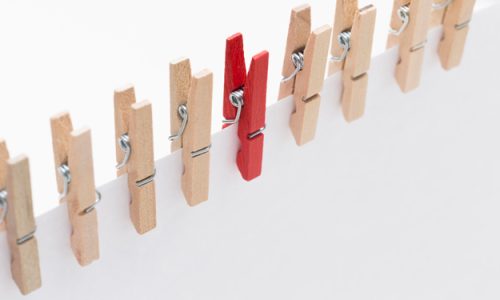 EMILIA ROMAGNA, FINANZIAMENTI PER LA PROMOZIONE DEL BIO