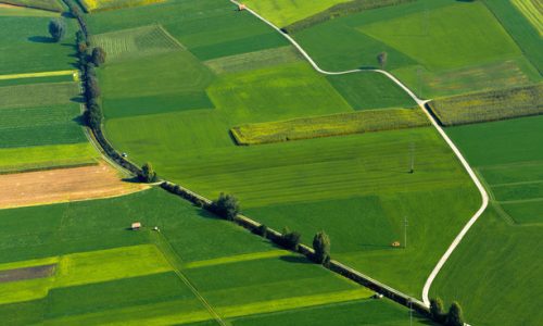 IL CONTO NASCOSTO DELL’AGRICOLTURA