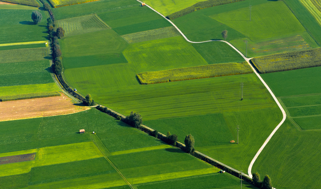 IL CONTO NASCOSTO DELL’AGRICOLTURA
