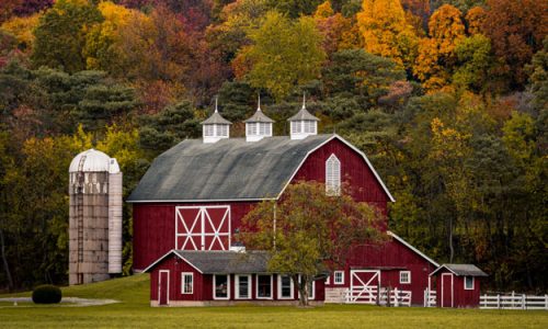 IL BIOLOGICO CANADESE SI AGGREGA E LANCIA PROPOSTE