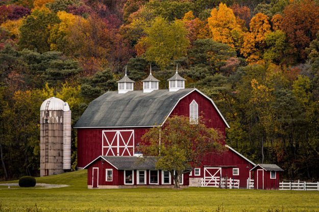 IL BIOLOGICO CANADESE SI AGGREGA E LANCIA PROPOSTE