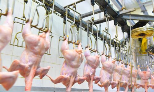 INDISCREZIONI SULLE MODIFICHE AL REGOLAMENTO BIOLOGICO