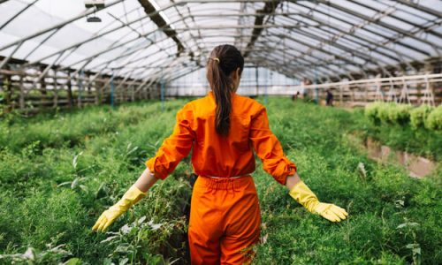 MARCIA INDIETRO SUL GLIFOSATO!