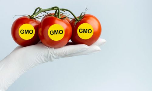 NUOVI OGM: LA COMMISSIONE UE AMMORBIDISCE LE REGOLE