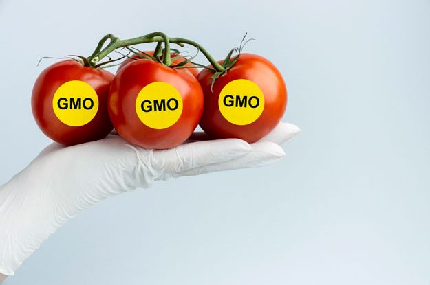 NUOVI OGM: LA COMMISSIONE UE AMMORBIDISCE LE REGOLE