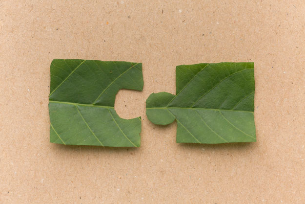 RIFINANZIATA LA NUOVA SABATINI, IN ARRIVO 650 MILIONI PER LE IMPRESE