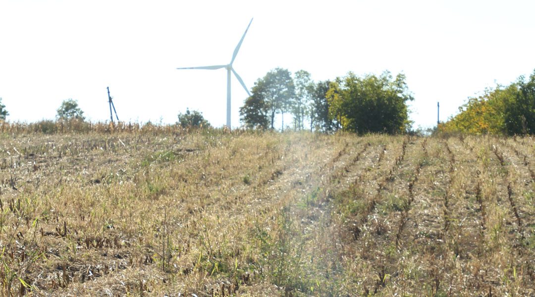 I PESTICIDI ALTERANO LA BIODIVERSITÀ TASSONOMICA E FUNZIONALE DEI SUOLI