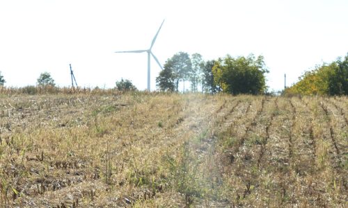 I PESTICIDI ALTERANO LA BIODIVERSITÀ TASSONOMICA E FUNZIONALE DEI SUOLI