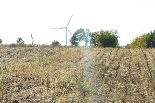 I PESTICIDI ALTERANO LA BIODIVERSITÀ TASSONOMICA E FUNZIONALE DEI SUOLI
