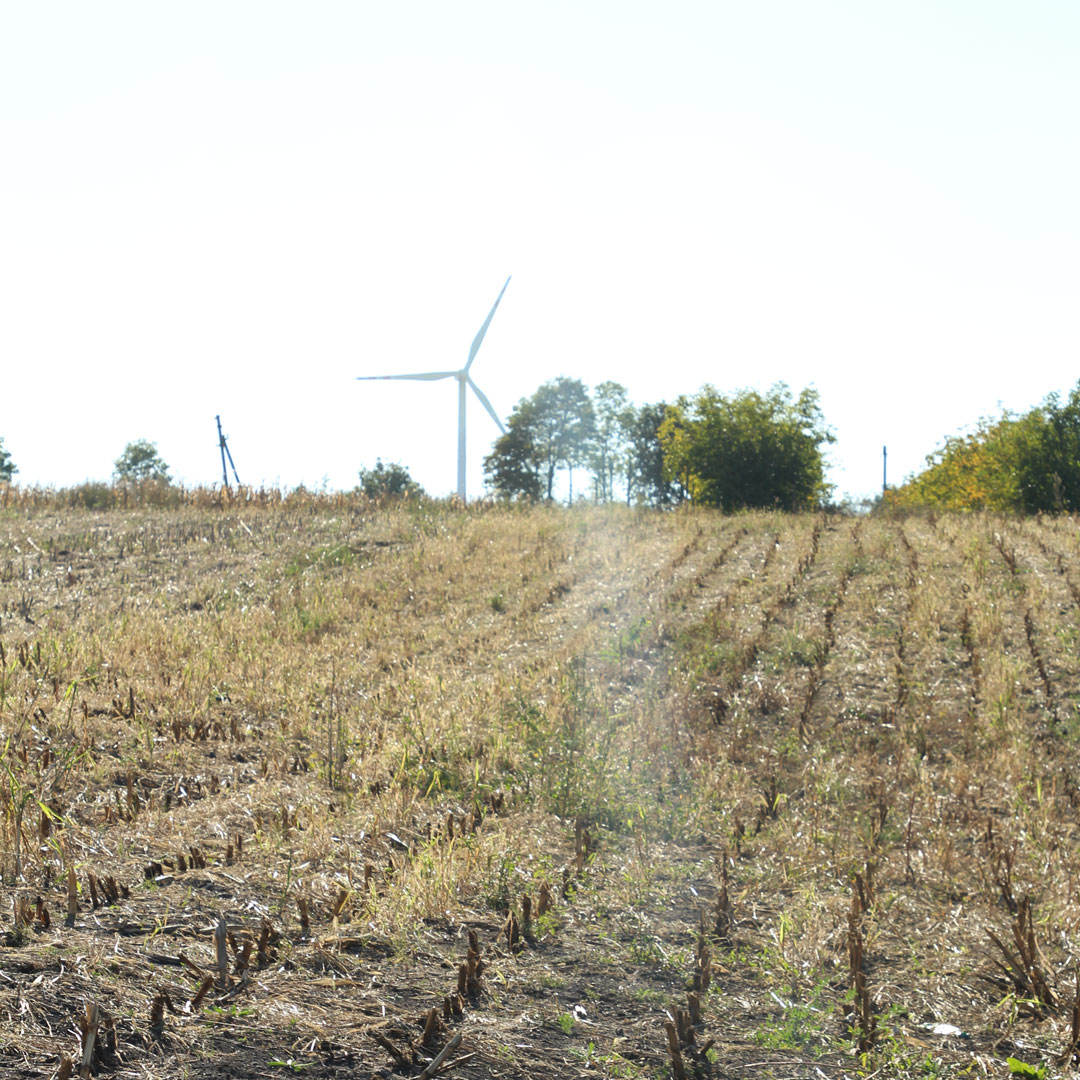 I PESTICIDI ALTERANO LA BIODIVERSITÀ TASSONOMICA E FUNZIONALE DEI SUOLI