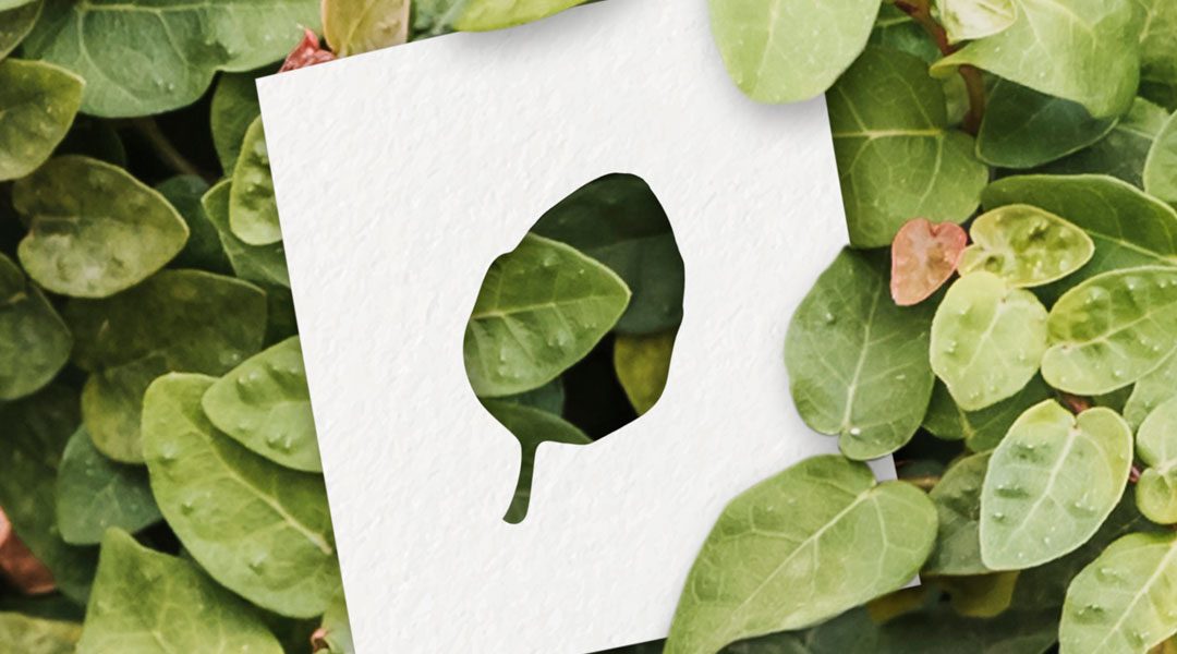 SFATIAMO I FALSI MITI SUL BIOLOGICO