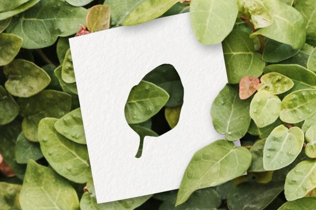 SFATIAMO I FALSI MITI SUL BIOLOGICO