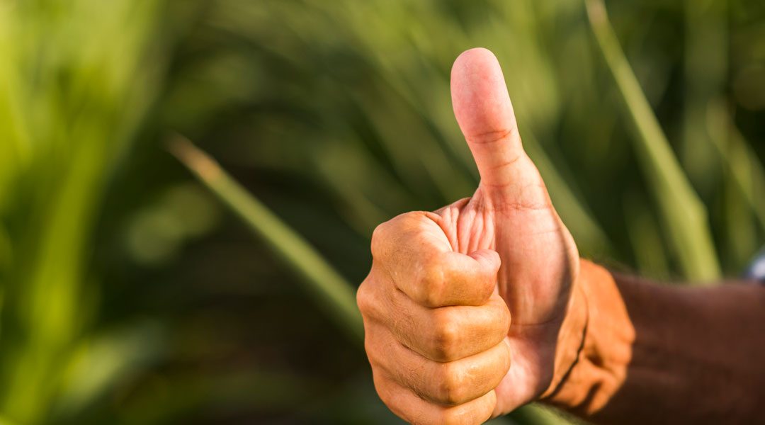 AND THE WINNER IS…