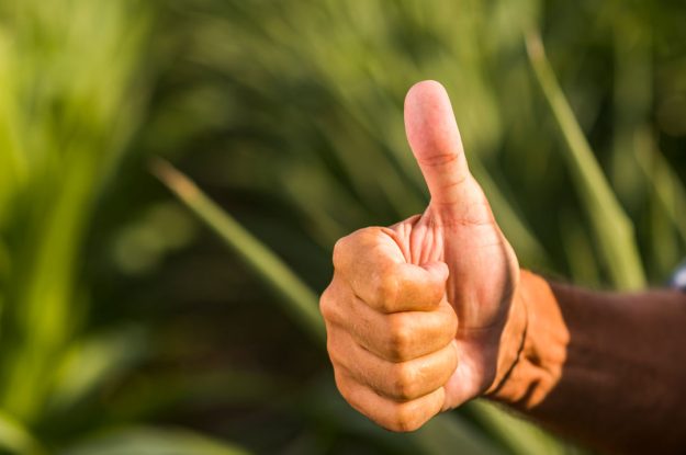 AND THE WINNER IS…