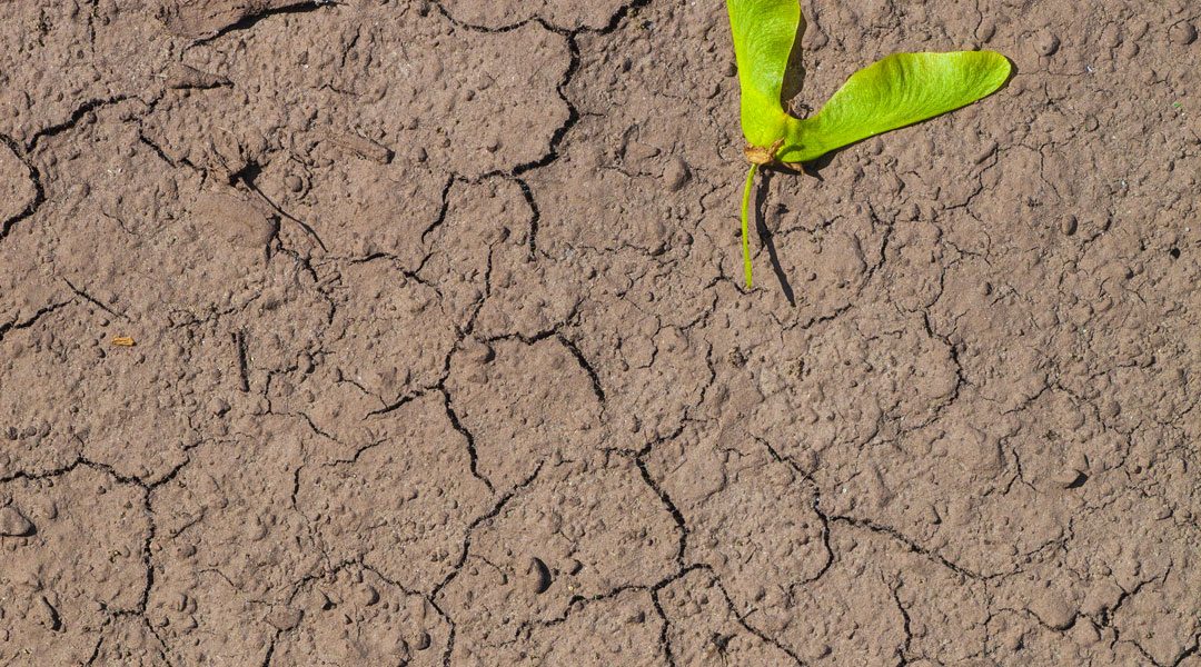 IL 60% DEI SUOLI EUROPEI È DEGRADATO