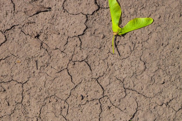 IL 60% DEI SUOLI EUROPEI È DEGRADATO