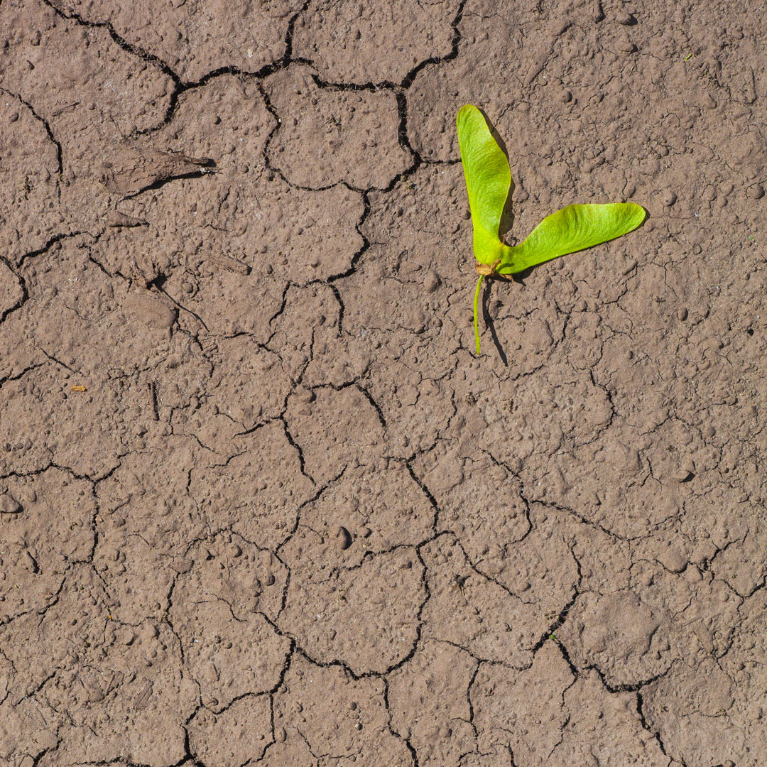 IL 60% DEI SUOLI EUROPEI È DEGRADATO