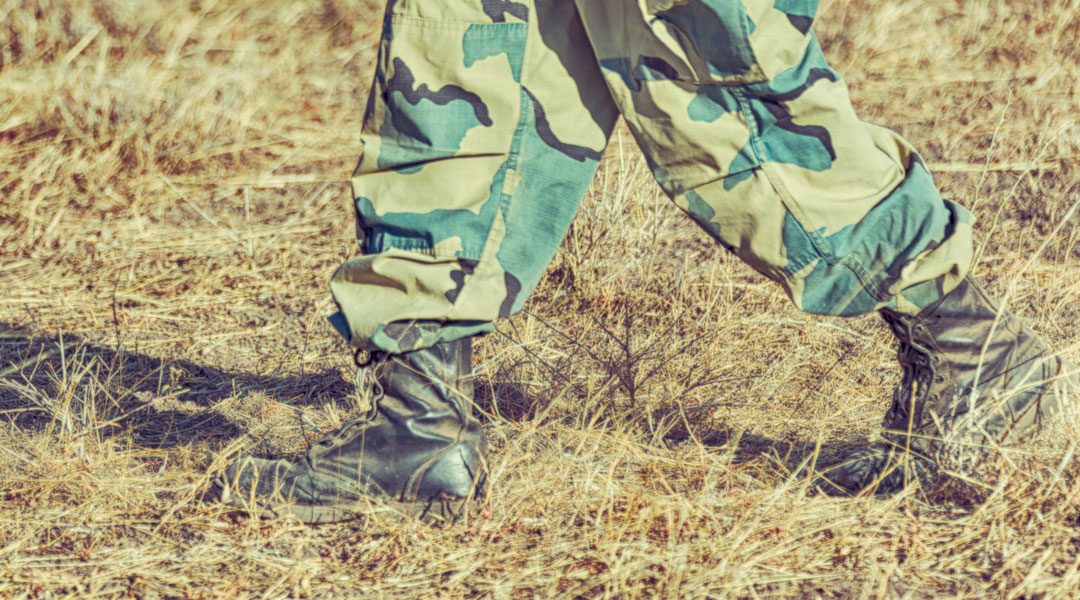 IL BIOLOGICO IN TEMPO DI GUERRE