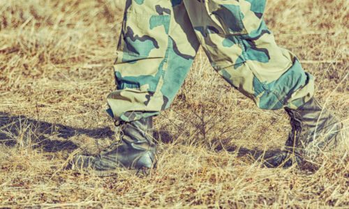 IL BIOLOGICO IN TEMPO DI GUERRE