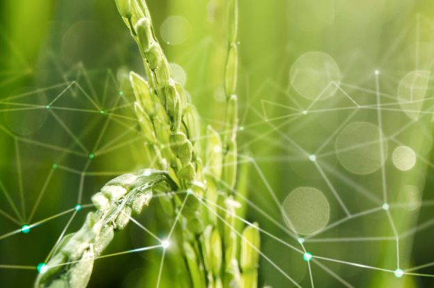 NUOVE TECNICHE GENOMICHE: IFOAM CHIAMA GLI OPERATORI ALL’AZIONE