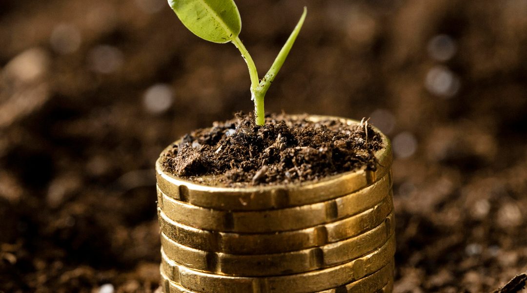 PRESENTATE A SANA LE STIME SUL MERCATO 2025