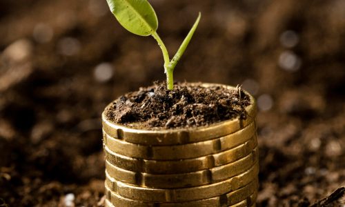 PRESENTATE A SANA LE STIME SUL MERCATO 2025