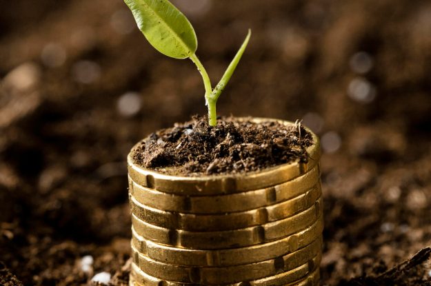 PRESENTATE A SANA LE STIME SUL MERCATO 2025