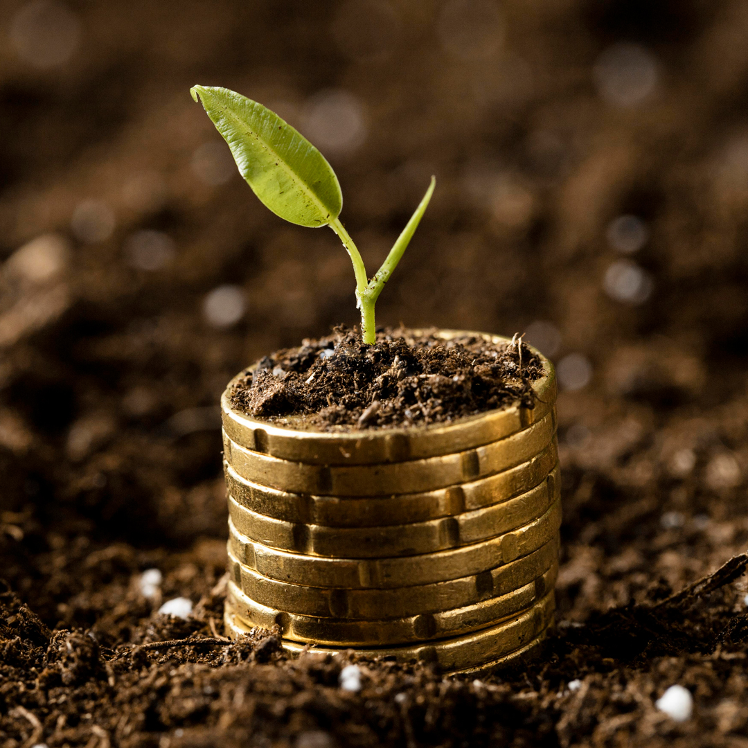 PRESENTATE A SANA LE STIME SUL MERCATO 2025