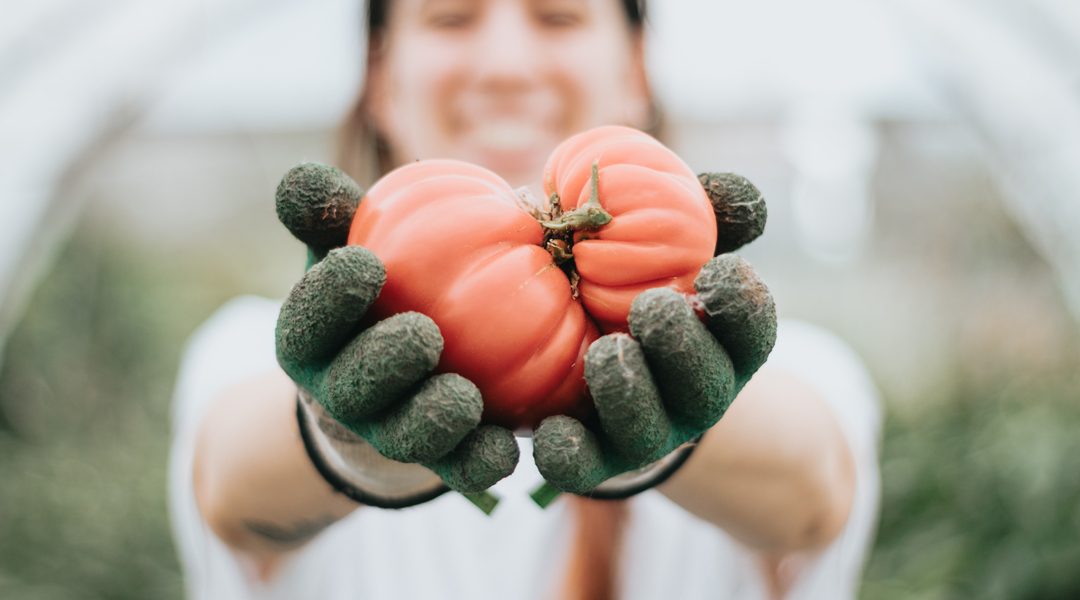“COLTIVARE BIOLOGICO PER UNA QUESTIONE D’INDIPENDENZA”