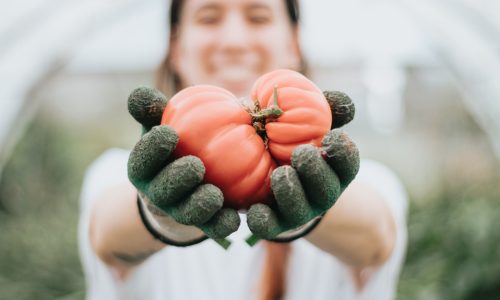 “COLTIVARE BIOLOGICO PER UNA QUESTIONE D’INDIPENDENZA”