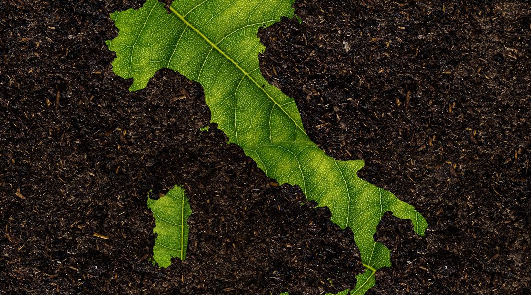 NOTA DOLENTE: ANCHE L’ITALIA DÀ IL VIA LIBERA AI NUOVI OGM