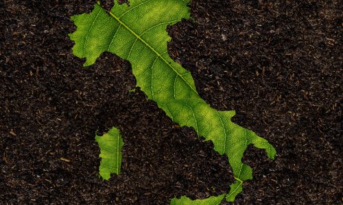 NOTA DOLENTE: ANCHE L’ITALIA DÀ IL VIA LIBERA AI NUOVI OGM