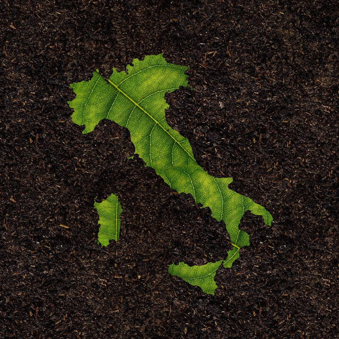 Protesta contro OGM e nuove tecniche genomiche in Europa con cartelli per trasparenza alimentare