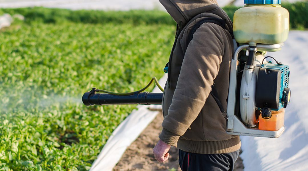 PESTICIDI E TUMORI, UN ALTRO STUDIO CONFERMA LA CORRELAZIONE