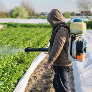 Campi agricoli trattati con pesticidi e impatto sulla salute umana e rischio tumori