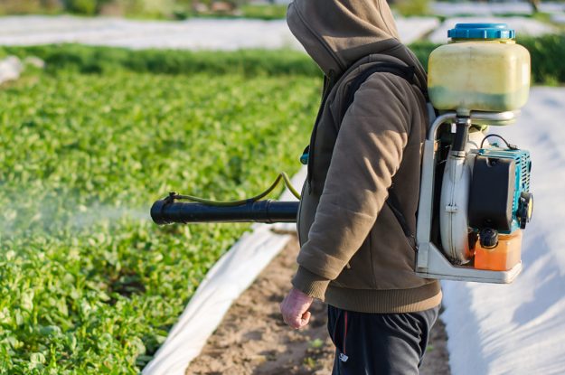 PESTICIDI E TUMORI, UN ALTRO STUDIO CONFERMA LA CORRELAZIONE