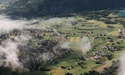 SVIZZERA, FATTURATO RECORD PER IL BIOLOGICO