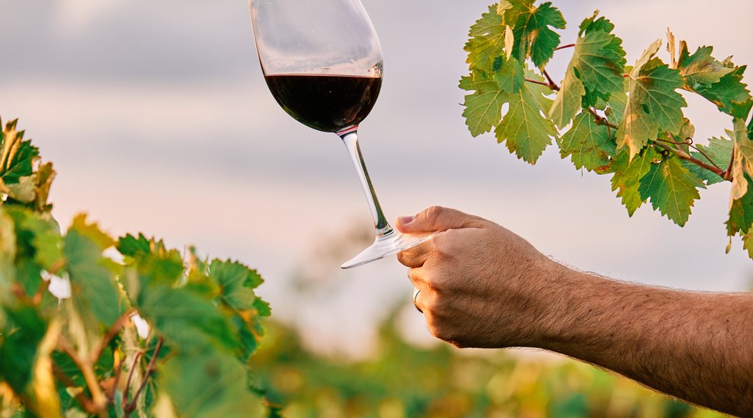 UNO STUDIO SUL MERCATO DEL VINO BIOLOGICO