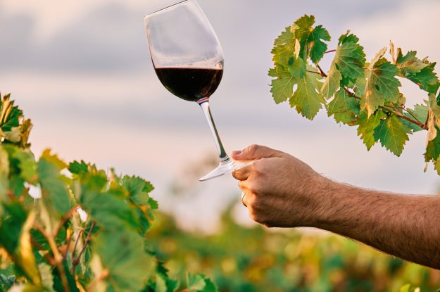 UNO STUDIO SUL MERCATO DEL VINO BIOLOGICO