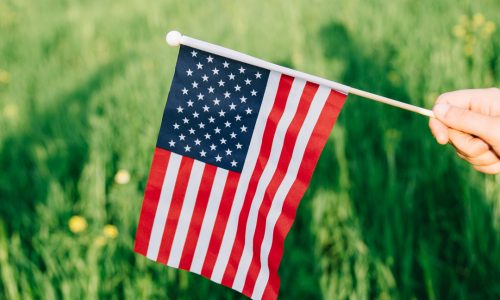 USA, IL FRESCO BIOLOGICO CRESCE CINQUE VOLTE DI PIÙ