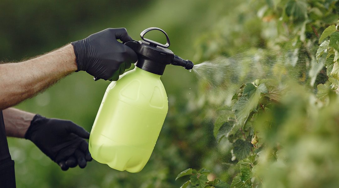 NEL 2024 +8% LA VENDITA DI PESTICIDI NELLA UE