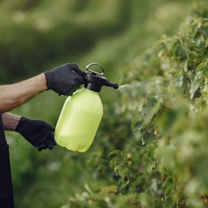 vendita pesticidi UE 2024