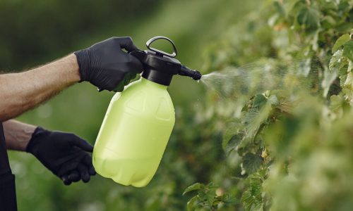 NEL 2024 +8% LA VENDITA DI PESTICIDI NELLA UE