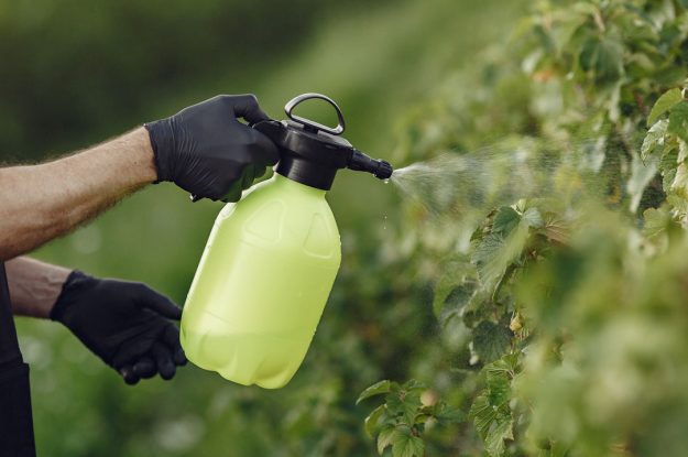 NEL 2024 +8% LA VENDITA DI PESTICIDI NELLA UE